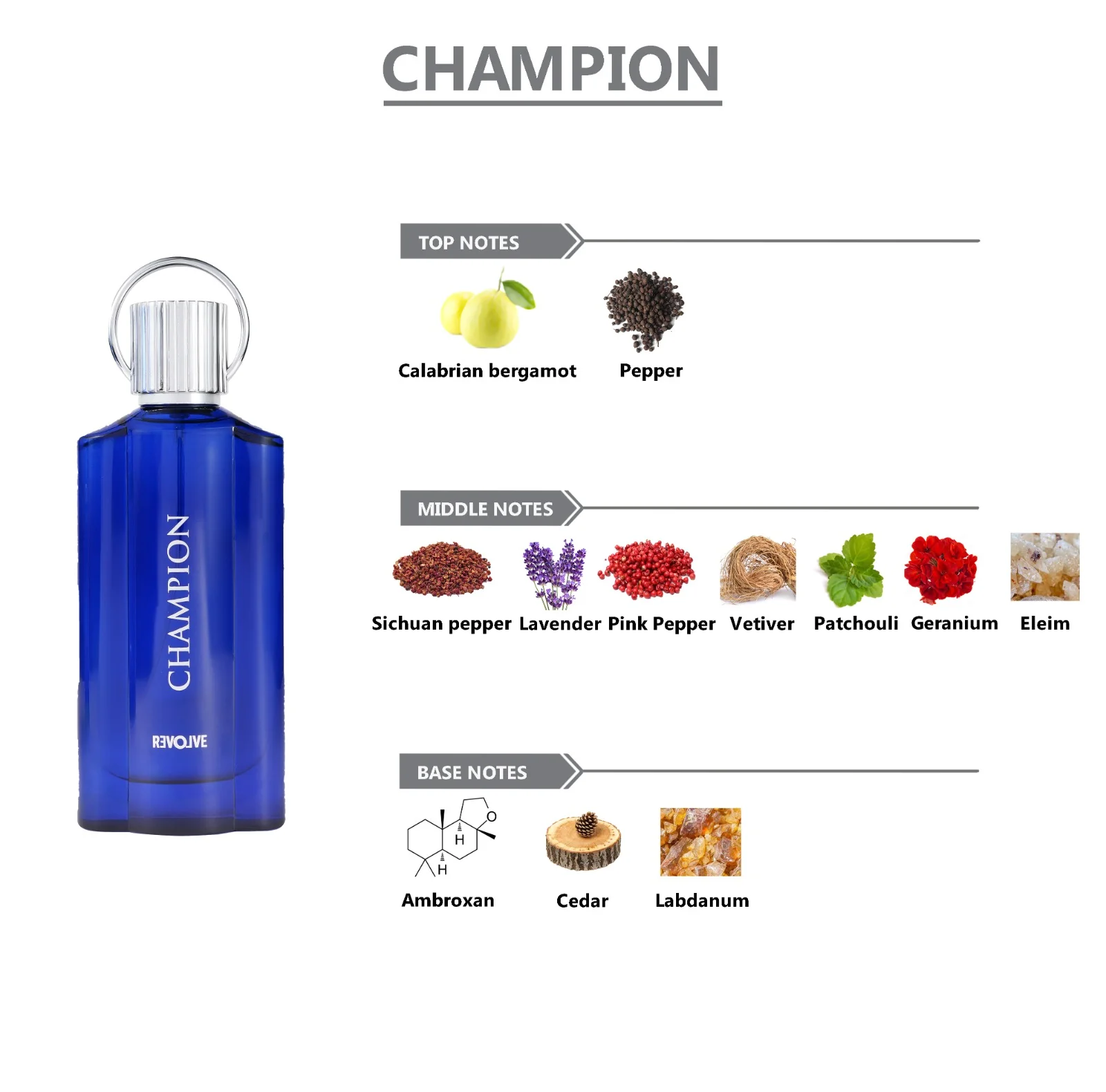 REVOLVE Champion Pour Homme Perfume For Men - 100ml - Image 6
