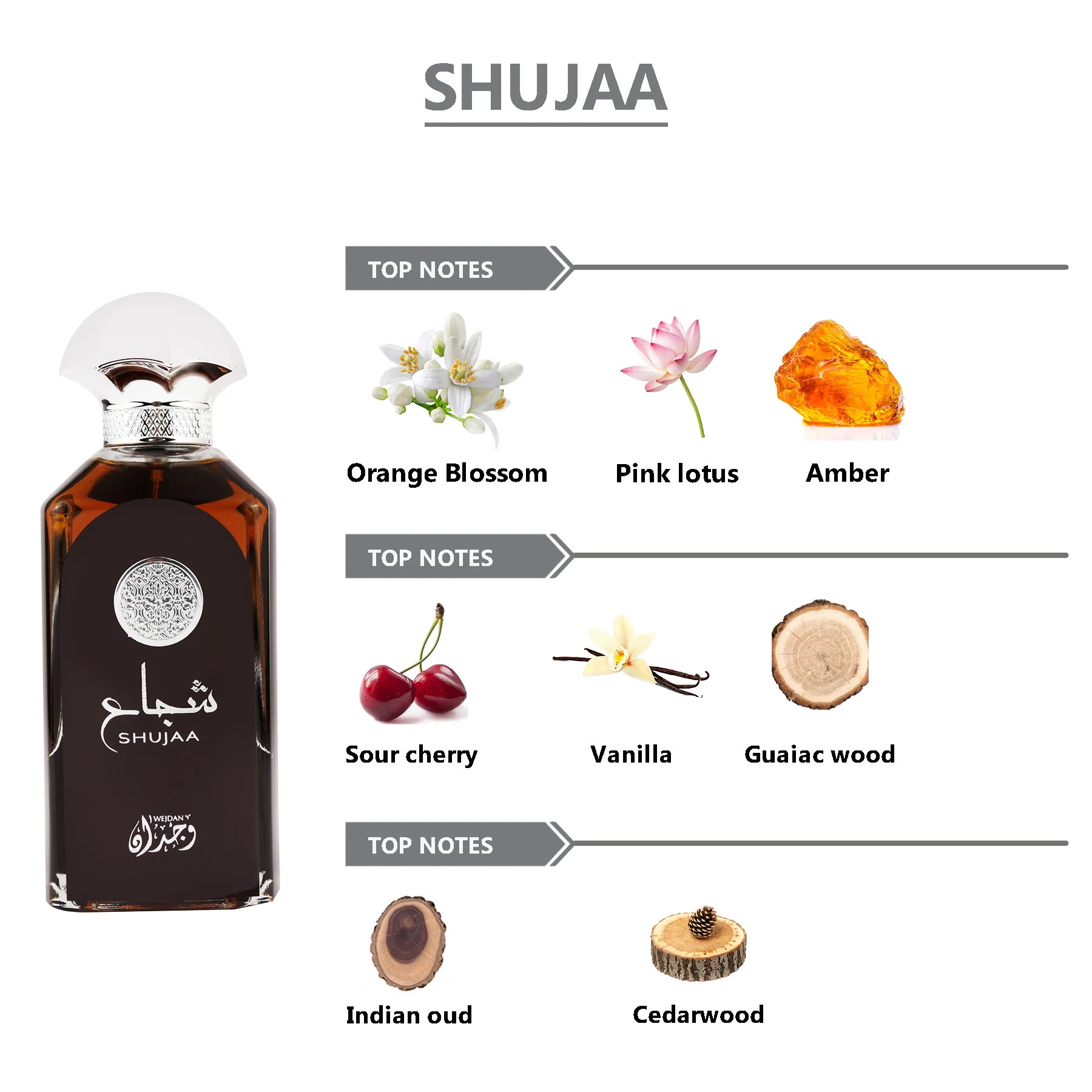 WEJDAN Shujaa Eau De Parfum For Men - 100ml - Image 5